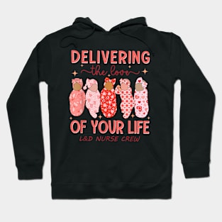 Delivering The Love Of Your Life Hoodie